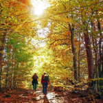 Fall Hikes Near Atlanta and Northeast Georgia