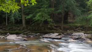 Sope Creek Park